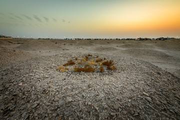 Dilmun Burial Mounds also called Aali royal burial mounds in Bahrain a UNESCO World Heritage Site