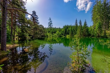 lake in forest