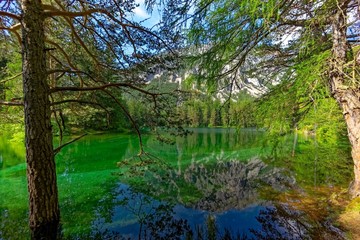 Fototapeta na wymiar lake in forest