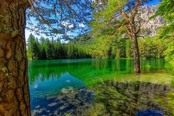 lake in forest