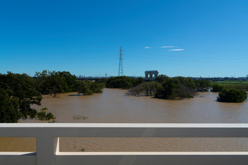 Fototapeta na wymiar 台風で氾濫した荒川の水で沈む木や電柱