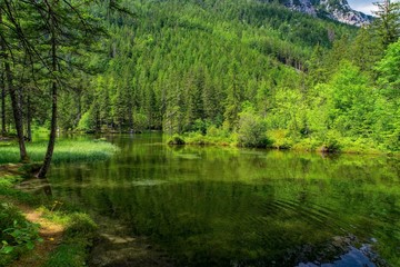 lake in forest
