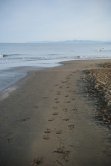 beach and sea