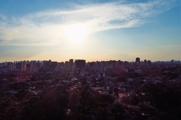 Aerial view of Ibirapuera's Park in the beautiful day, Sao Paulo Brazil. Great landscape. 