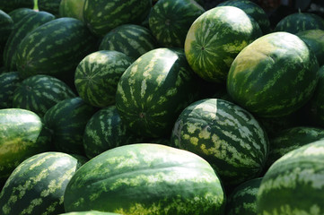 bunch of watermelons, watermelon background. urban vegetable market