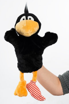 Rabe mit Socke