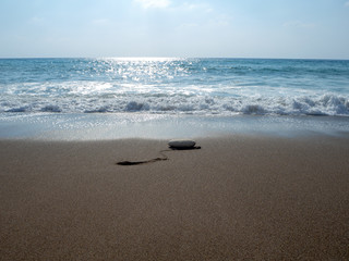 nature around us. Travel concept