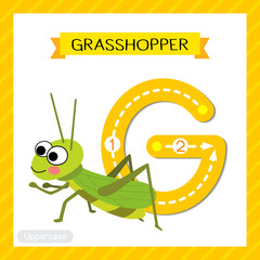 Letter G uppercase tracing. Happy Grasshopper