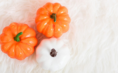 Top view white and orange pumpkin in Halloween day concept