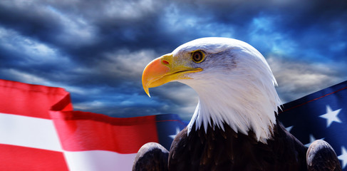 North American Bald Eagle (Haliaeetus leucocephalus) and USA flag with dark storm clouds at the...