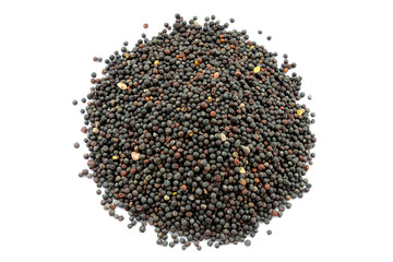Dried canola seeds isolated on white. Bunch of rape seeds on a white background. View from above....