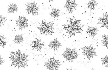 Christmas Star. Hand drawn Poinsettia.