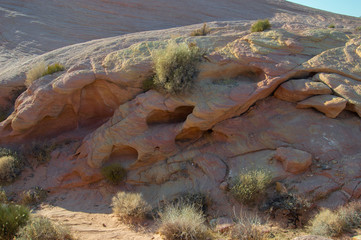 arches national park valley of fire desert