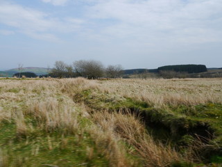 Welsh bog land