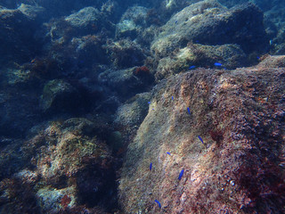 Beautiful underwater scenery