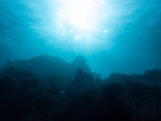 Fototapeta na wymiar Beautiful light underwater
