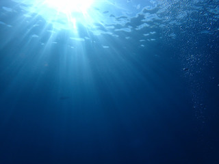 Beautiful light underwater