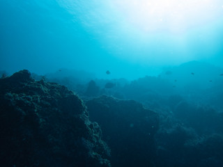 Beautiful underwater scenery
