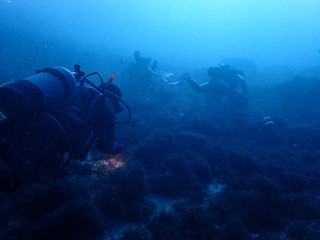 Diver and underwater scenery