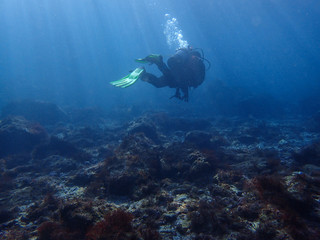 Fototapeta na wymiar Diver and underwater scenery