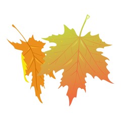Falling yellow and orange leaves of maple tree. Hello autumn, bye summer. Seasonal sale element design. Melancholy, sadness due to finishing of vacation, warmth of sun. Cartoon vector on white.