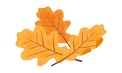 Yellow and orange senescent leaves of oak tree. Melancholy, sadness due to finishing of vacation, warmth of sun. Autumn seasonal sale element design. Cartoon vector illustration isolated on white.