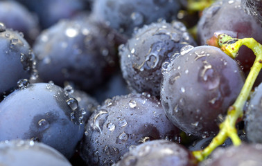 water drops on a red grape