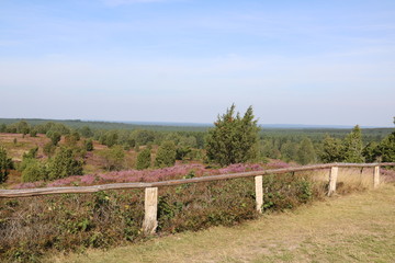 Fototapeta na wymiar Aussichtspunkt auf dem Wilseder Berg in der Lüneburger Heide
