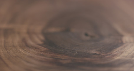 Fototapeta na wymiar closeup of oil finished black walnut wood surface