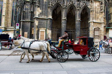 horse carriage in roman streets