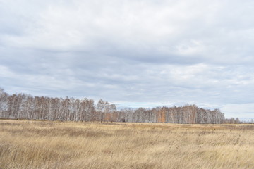 Autumn. Field.