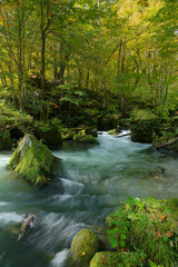 Obraz premium 青森県奥入瀬渓流 岩と苔がある風景