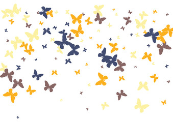 Festive butterfly confetti background. Frame vector pattern texture for holiday, postcard, poster, carnival, banner, birthday and children's parties. Butterfly cover mock-up. Wedding butterfly layout