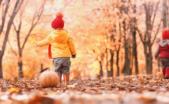 Children Are Walking In Nature. Twilight Kids Are Walking Around The Park. Brother With Sister In Autumn City Park In Leaf Fall.