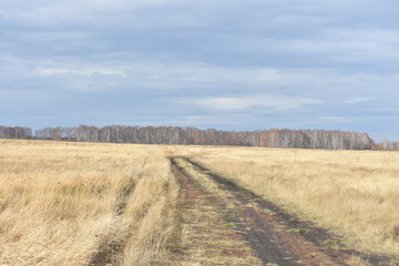 Fototapeta premium Autumn. Road in the field
