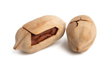 pecans isolated