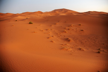 Fototapeta na wymiar The seas of dunes of Erg Chebbi near Merzouga in southeastern Morocco.