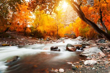 Fleecedeken met foto Herfst Geel de herfstbos en Katun-rivier in Altai-bergen, Siberië, Rusland. Schieten met lange belichtingstijd. Prachtig herfstlandschap, herfstseizoen.  © smallredgirl