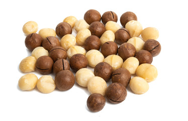 macadamia nuts isolated