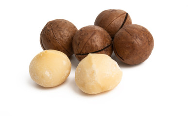 macadamia nuts isolated