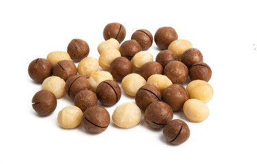 macadamia nuts isolated