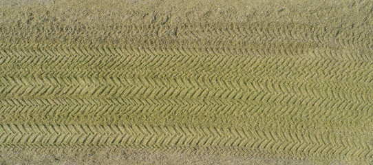 Maisernte, Landwirtschaftliche Tätigkeit zur Ernte Saison