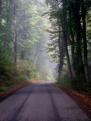Naklejka premium Herbststimmung 2