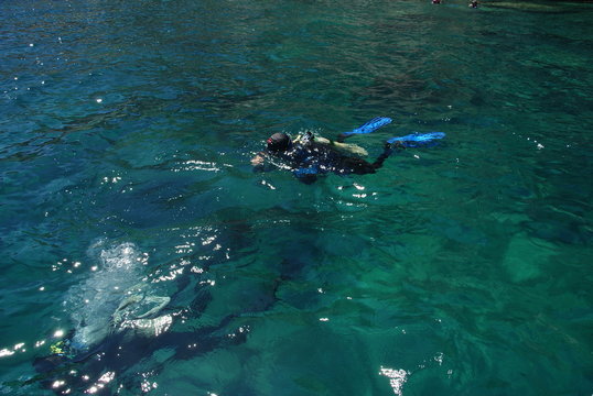 diving and snocking in the mexican sea