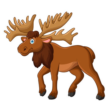 Cartoon happy moose with big horns