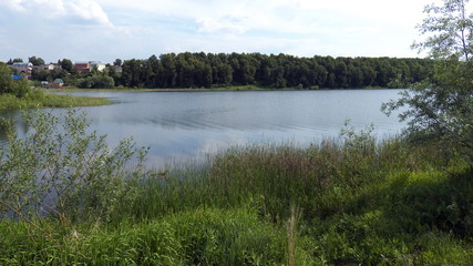 On the shore of the lake in summer it is good to relax  children and adults.