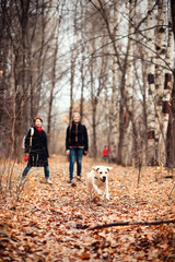 Fototapeta premium Young girl on a walk in the autumn