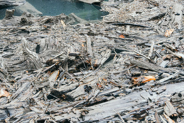 Jam of old trees on the river. Water dam of trunks and pollution of nature