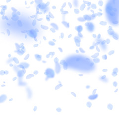 Dark blue flower petals falling down. Unequaled ro