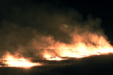 Fire on the field, Burning Leftover Wheat